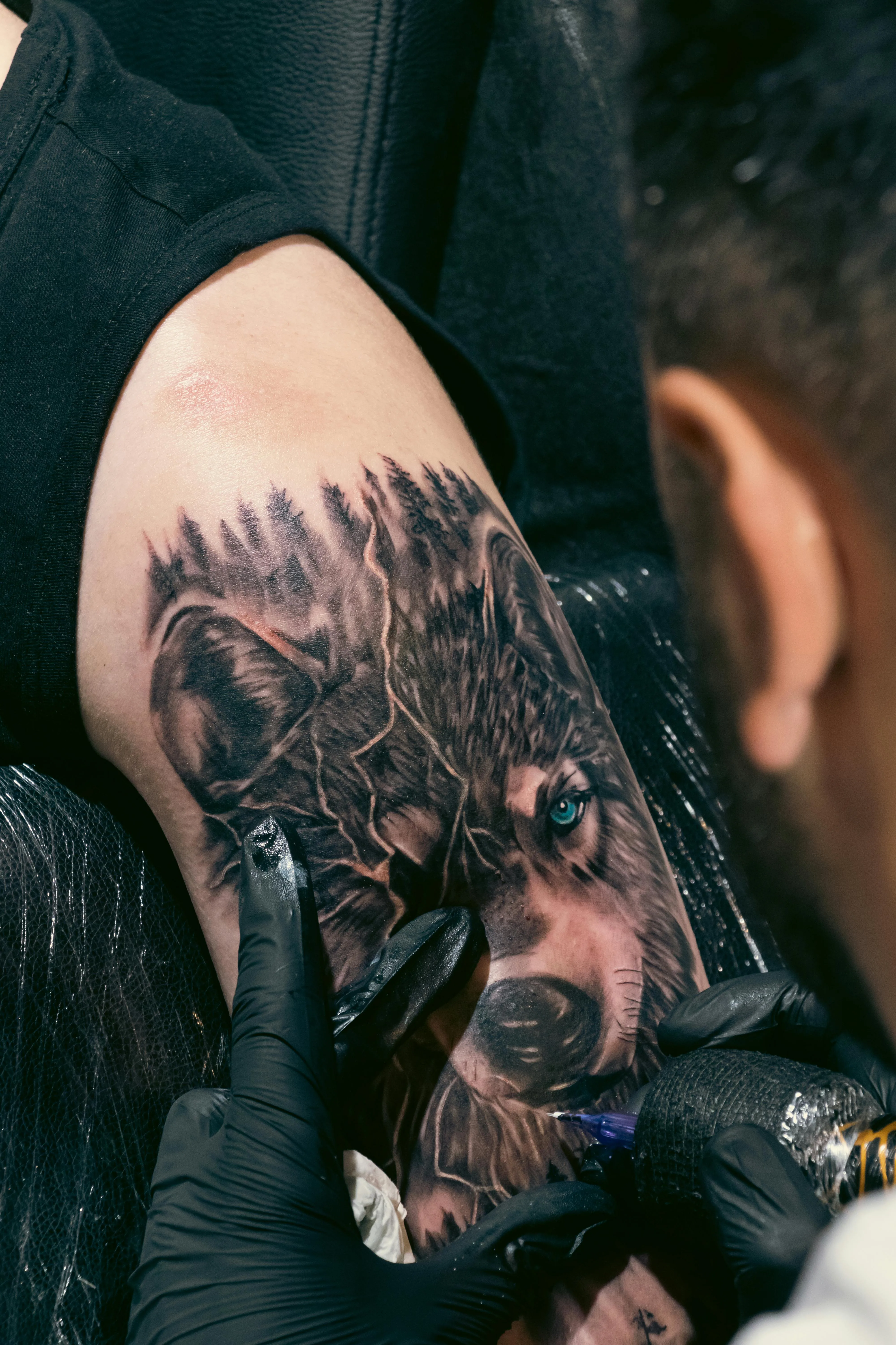 Tatouage Réalisme — Loup sauvage par Skin Tattoo Lyon